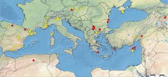 Attēlu rezultāti vaicājumam “Anthracoidea”