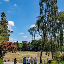 Image result for Chesterfield Cricket Club