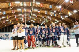 Image result for Adur Skater Hockey Club