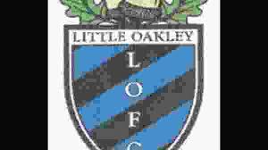 Image result for Ockley Acorns Junior F C