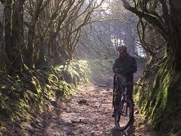 Image result for Withiel