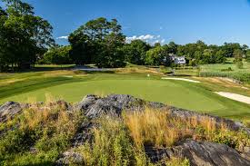 Image result for Rye Badminton Club