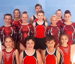 Image result for WALSALL GYMNASTICS CLUB