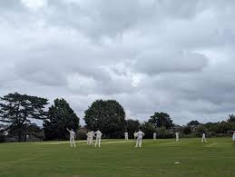 Image result for Morpeth Junior Cricket Club