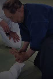 Image result for Ronin Yudansha Ryu