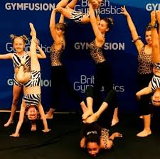 Image result for North Devon Display Gymnastics Club
