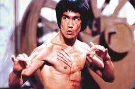 Image result for kung fu