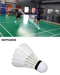 Image result for Shuttlecocks Badminton Club