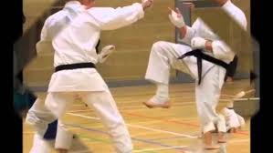 Image result for Kenshukai Karate
