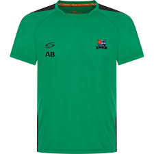 Image result for Redlynch and Hale Cricket Club