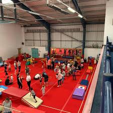 Image result for Cardiff Olympic Gymnastics Club