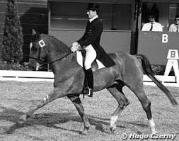 Image result for Uwe Riding Club