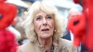 Image result for Camilla Power