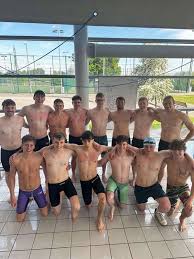 Image result for York University Pool Club