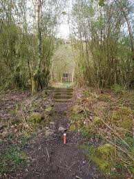 Image result for Pentref Bowmen