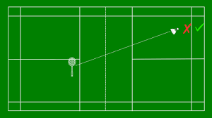 Image result for Beginners and Intermediate Badminton