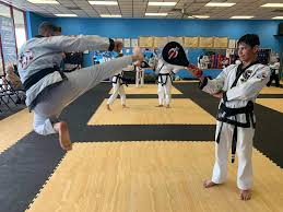 Image result for Alness Tang Soo Do