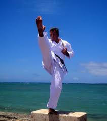 Image result for Tora Dojo