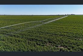 Image result for Loddon Vale Bridge Club