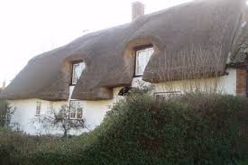 Image result for Abbotsley