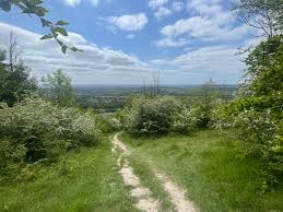 Image result for Oxted Runners