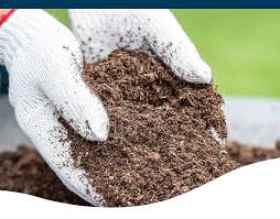 Attēlu rezultāti vaicājumam “moss”