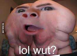 Image result for lol wut