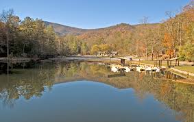 Image result for vogel