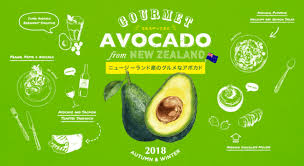 「アボカド大臣」の画像検索結果