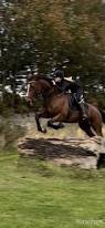 Image result for Fife Riding Club