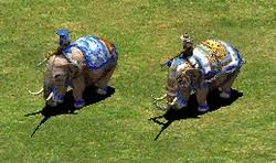 Image result for Elite Fighting Systems, Elephant & Castle