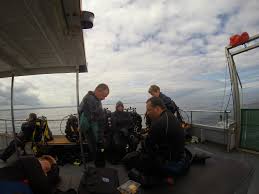 Image result for Meadurst Sub-Aqua Club