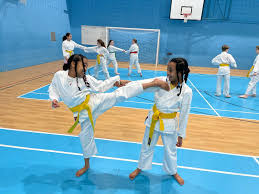 Image result for Junsui Shotokan Karate Do