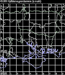 Attēlu rezultāti vaicājumam “Epiblema grandaevana”