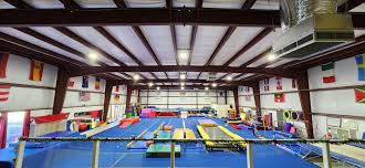Image result for Dynamo Trampoline Academy