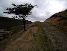 Doctors Gate Footpath - via Daymix