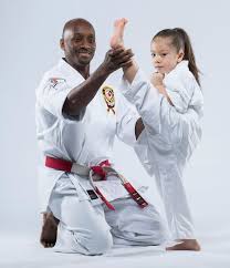 Image result for Northern Freestyle Karate Association