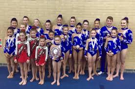 Image result for Uckfield Gymnastics Club
