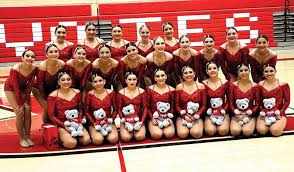 Image result for Angels Dance Squad