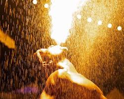 Image result for Harbour Lights Snorkelling Club (HLSC)