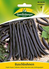 Image result for Buschbohnen