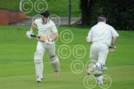 Image result for Luctonians Cricket Club