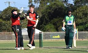 Image result for Morpeth Junior Cricket Club