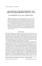 Attēlu rezultāti vaicājumam “Biatoropsis usnearum”
