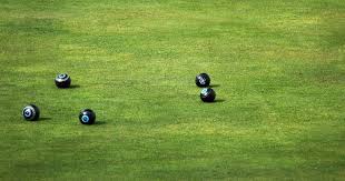 Image result for Rhayader Bowling Club