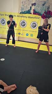 Image result for Vipers Thai/Kickboxing School