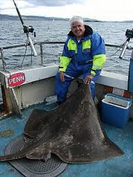 Image result for Braintree Sea Angling Club