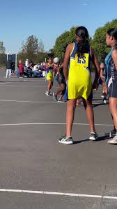 Image result for Hornets Netball Club