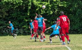 Image result for Crofton Albion Sports & Social Club