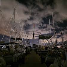 Image result for Apneists UK